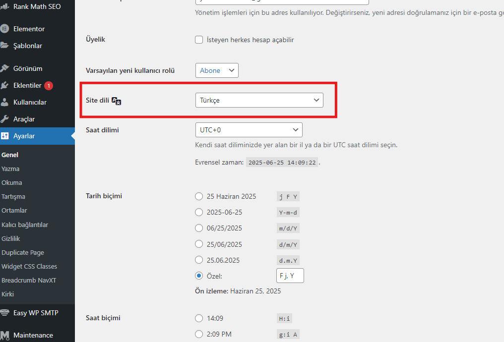Wordpress Site Dili Ayarı