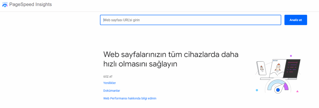 Pagespeed Insights Aracı